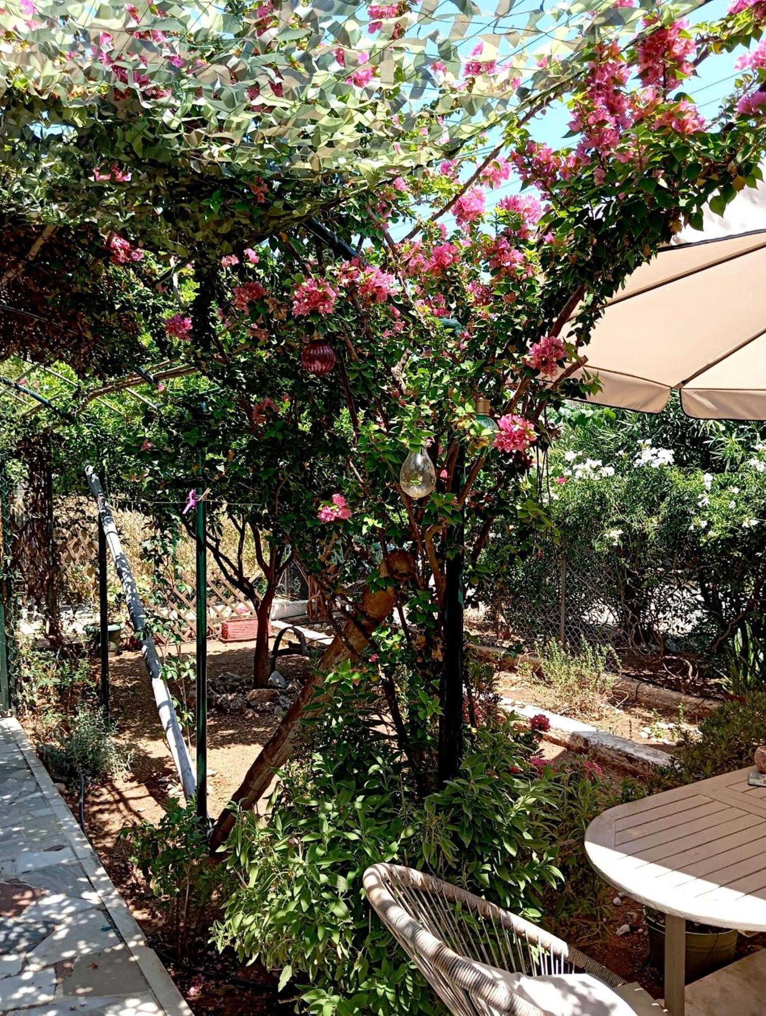 Villa Εξοχικό Roxani à Ambelakia Extérieur photo