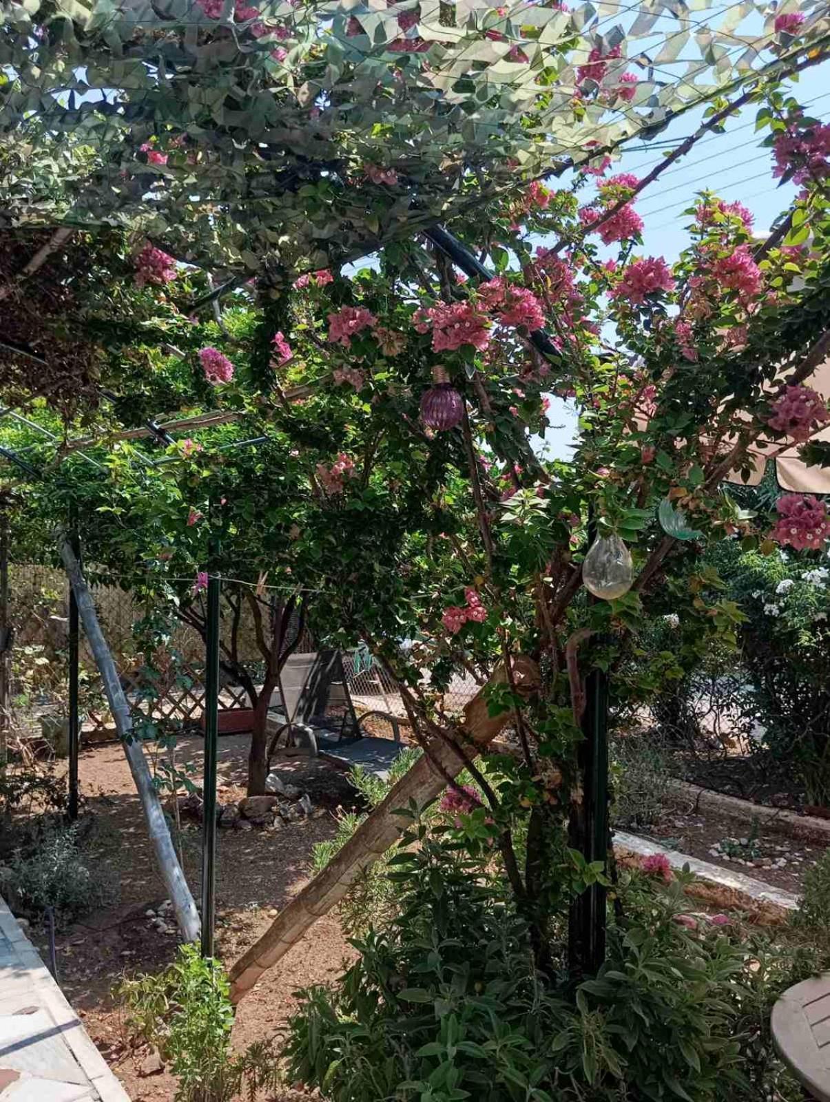Villa Εξοχικό Roxani à Ambelakia Extérieur photo