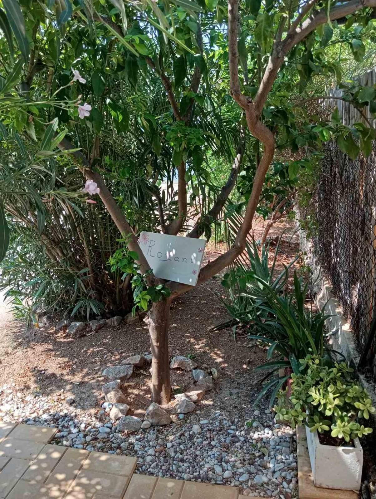 Villa Εξοχικό Roxani à Ambelakia Extérieur photo