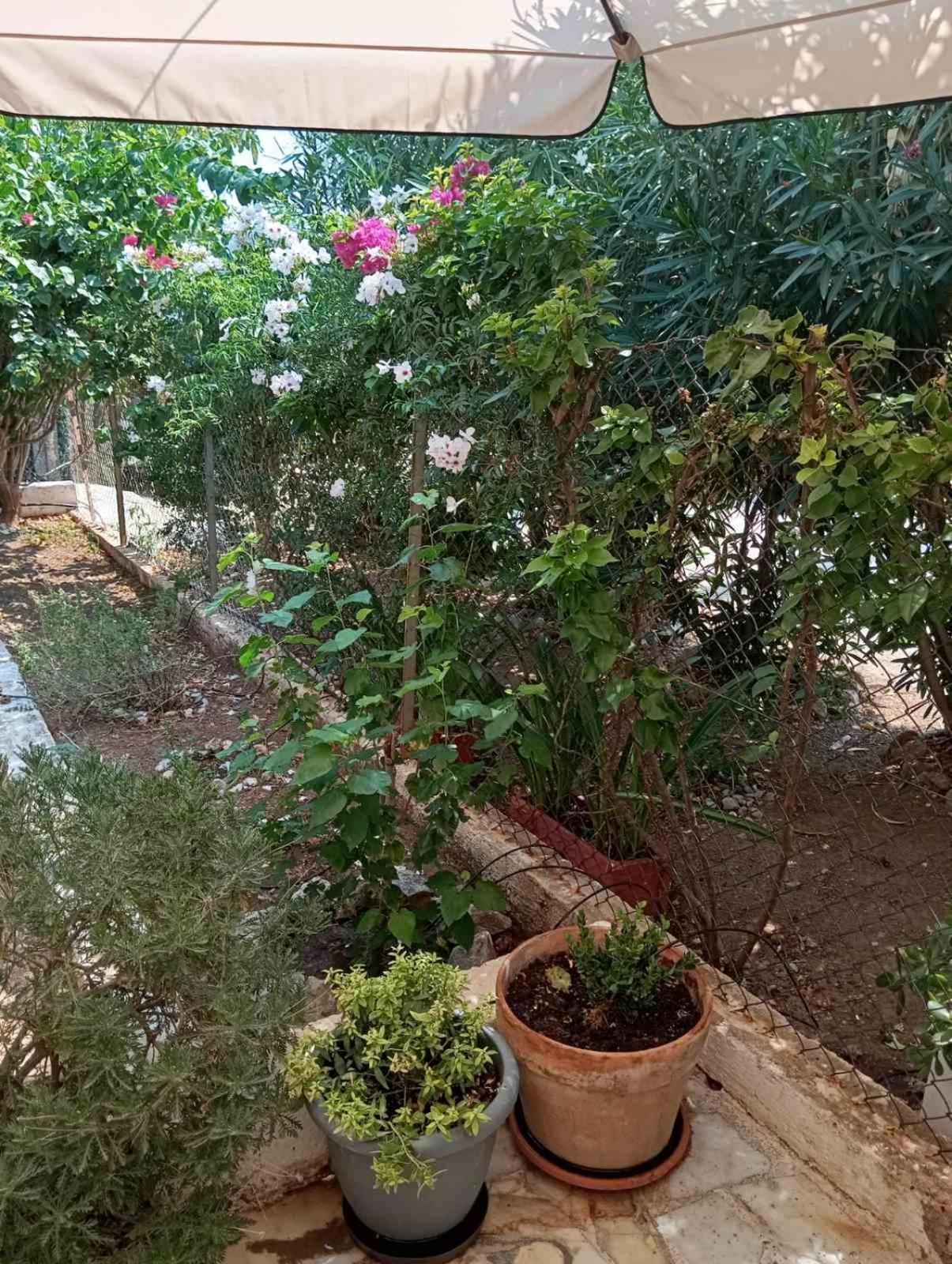 Villa Εξοχικό Roxani à Ambelakia Extérieur photo
